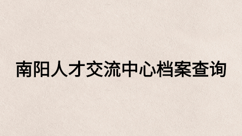 南阳人才交流中心档案查询入口,南阳个人档案查询系统