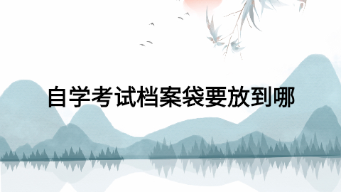 自学考试档案怎么放在人才市场,自学考试档案袋要放到哪?