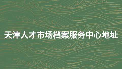 天津人才市场档案服务中心地址,天津档案怎么存放托管