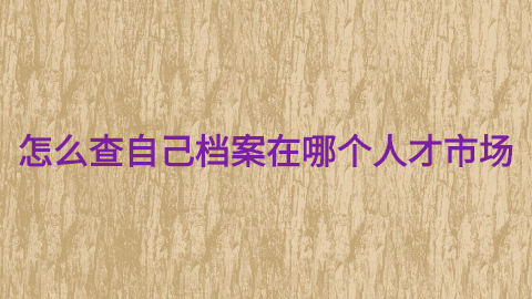 怎么查自己档案在哪个人才市场,网上可以查的到吗?
