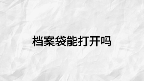 档案袋能打开吗?如果拆开档案袋拿出处分记录有影响吗?