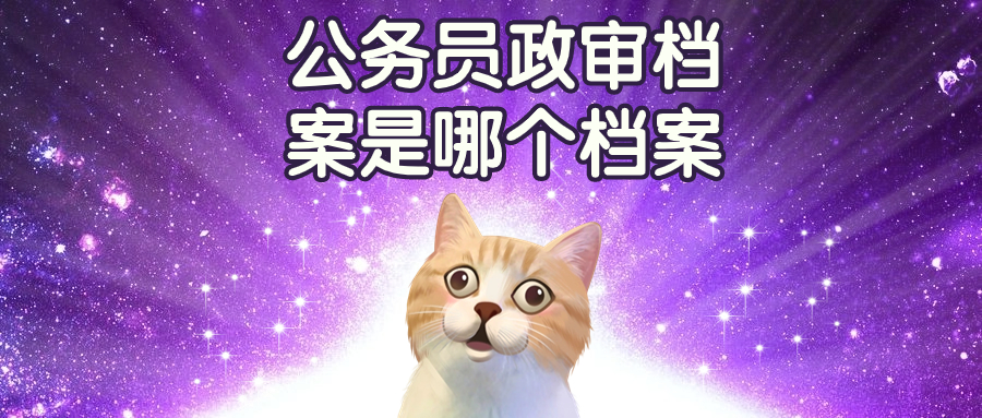 公务员政审档案是哪个档案-档案管理网